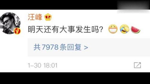 娱乐吃瓜718最近网站,揭秘娱乐圈最新热点事件