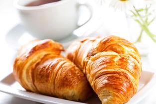 娱乐吃瓜君 面包,揭秘面包背后的故事与魅力