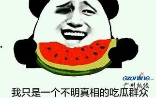 表情吃瓜是啥意思,揭秘网络流行语背后的趣味与内涵